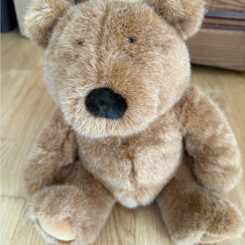 Lands End by Gund limited edition 1995 Boo Boo Bear